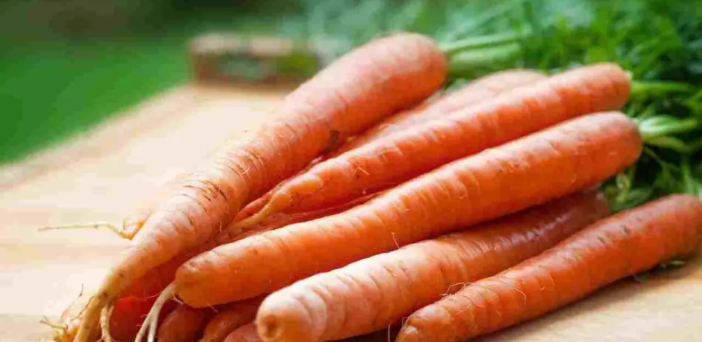 Karotten: Hier erfahren Sie, wie Sie sie im April auf der Fensterbank säen und anbauen, der Ratgeber