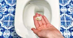 Knoblauch in der Toilette: Warum eigentlich?
