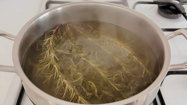 Kochen Sie 5 Zweige Rosmarin, Sie werden ein lästiges Problem los