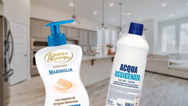 Kombinieren Sie diese 2 beliebten Zutaten: Sparen Sie am Ende des Monats viel Geld