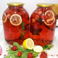 Kompott “Erdbeer-Mojito” (mit Zitrone und Minze)!