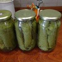 Konservierung der Weinblätter (für den Winter)!