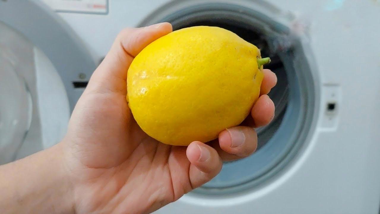 Zitrone für den Heimgebrauch