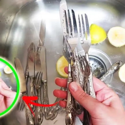 Lassen Sie Ihr buntes Besteck mit 5 + 1 natürlichen Spitzen wie neu aussehen