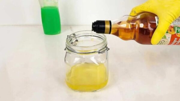 Lassen Sie sich von den Mücken nicht mehr belästigen, mit dieser Falle kommen sie nie wieder zurück