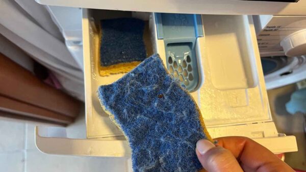 Legen Sie 2 Spülschwämme in die Waschmaschinenschüssel: So hatte ich noch nie Wäsche