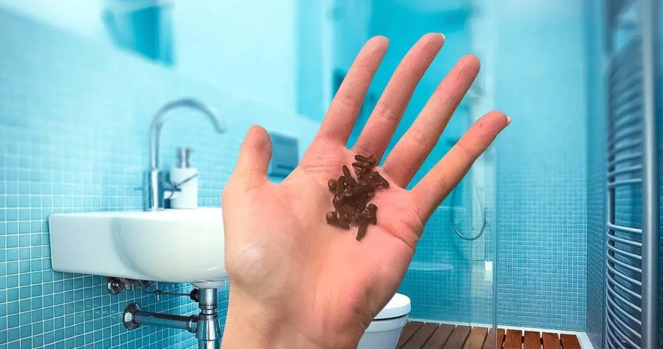 Legen Sie Nelken ins Badezimmer und verabschieden Sie sich von diesem lästigen Problem