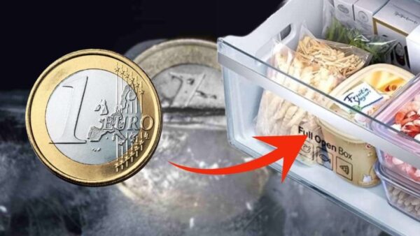 Legen Sie einen Cent in den Gefrierschrank, denn Sie sollten es jetzt tun: Es rettet buchstäblich Ihr Leben