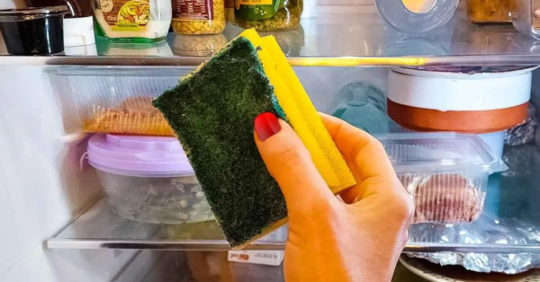 Legen Sie einen Schwamm in den Kühlschrank: Der Trick, mit dem Sie Geld sparen