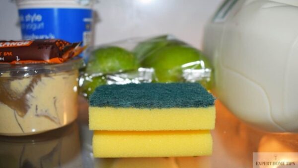 Legen Sie einen Schwamm in den Kühlschrank: Der Trick, mit dem Sie Geld sparen