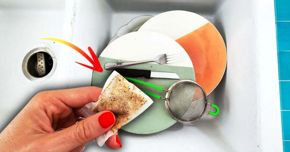 Legen Sie einen Teebeutel in eine Spüle voller schmutzigem Geschirr und sehen Sie, was passiert