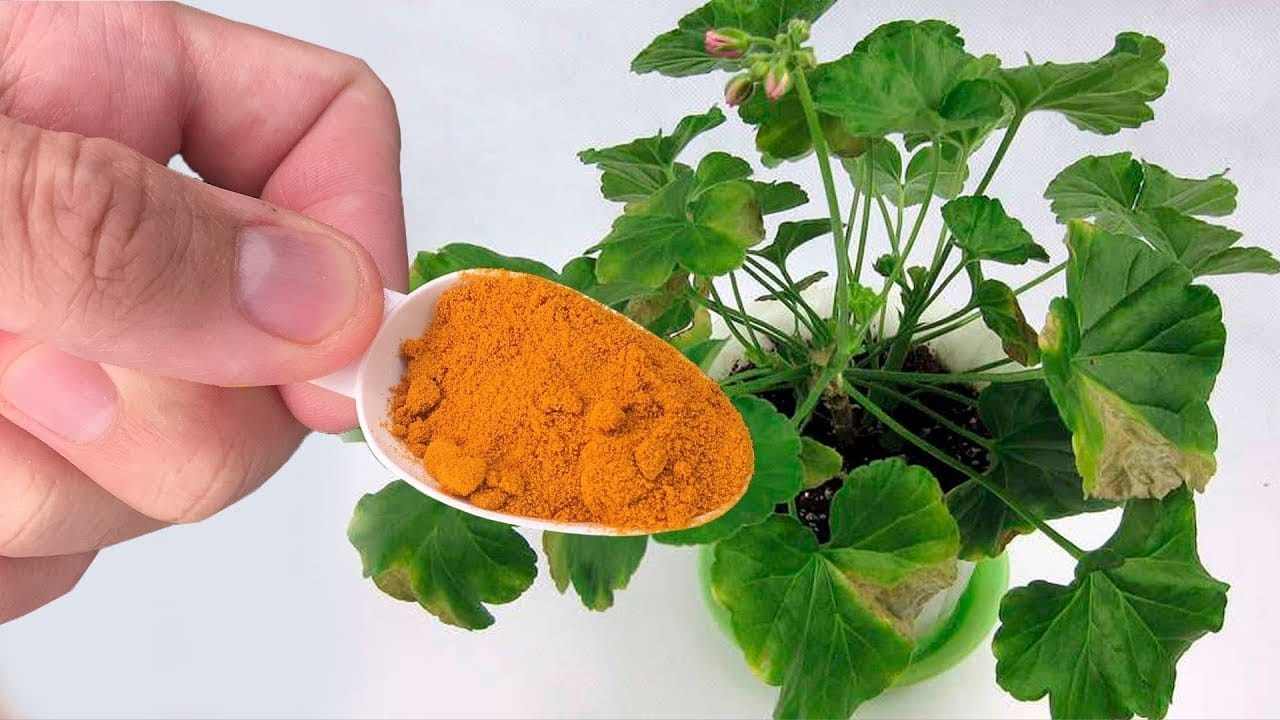 Löffel unter der Blume