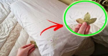 Lorbeer unter dem Kopfkissen: ein uralter Brauch unserer Vorfahren, der es zu bewahren gilt.