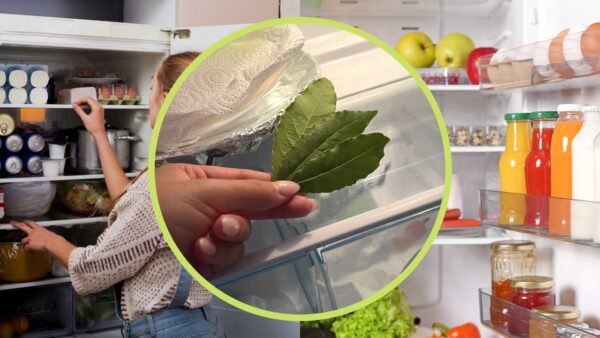 Lorbeeren im Kühlschrank, weil sie alle vor dem Schlafengehen machen: Das ist die Lösung für ein großes Problem