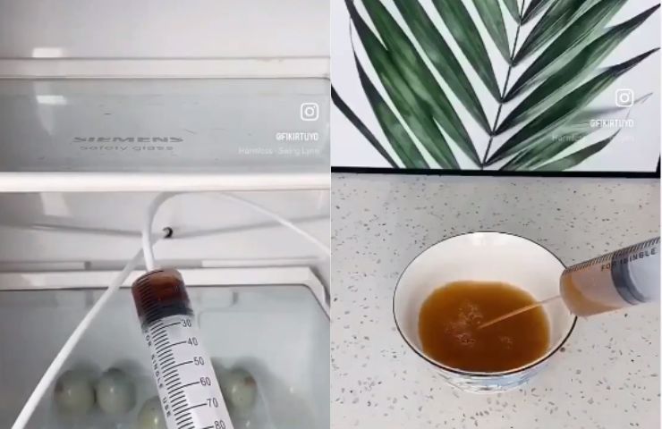 Kondensation im Kühlschrank