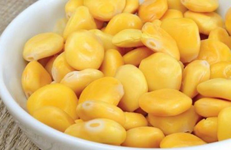 Lupine, wie man sie anbaut