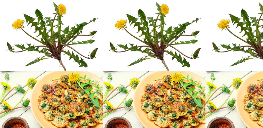 Löwenzahn: Ein vielseitiges Kraut mit medizinischen und kulinarischen Vorteilen