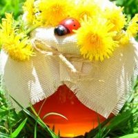 Löwenzahn-Marmelade!