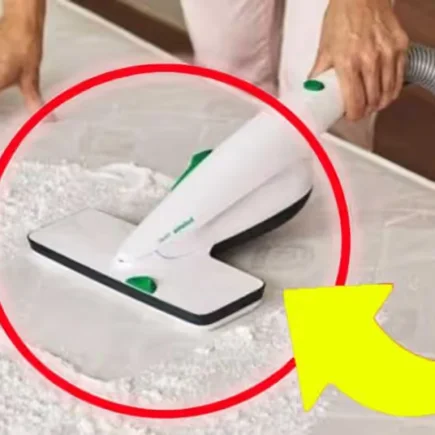 Matratzen: Auf Hausstaubmilben, Schimmel und Bakterien achten | In ein paar Minuten !