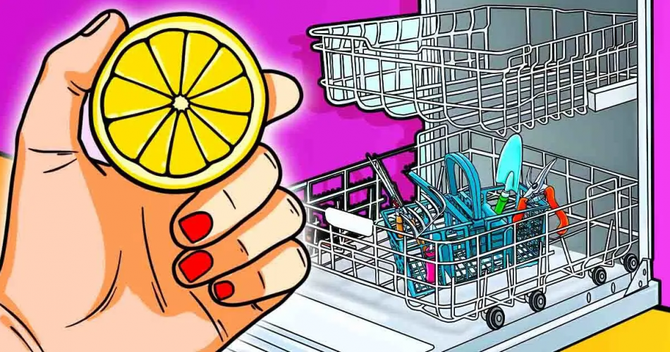 Meine Schwiegermutter gibt immer Zitrone in die Spülmaschine, und als ich das Ergebnis sah, fing ich an, dasselbe zu tun