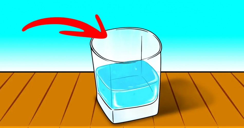 Mit dem Glas-Wasser-Trick sehen Sie keine Fliegen mehr in Ihrem Haus