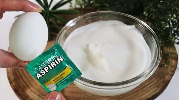 Mit diesem Naturheilmittel sehen Sie bis zu 10 Jahre jünger aus: Wozu dient es?