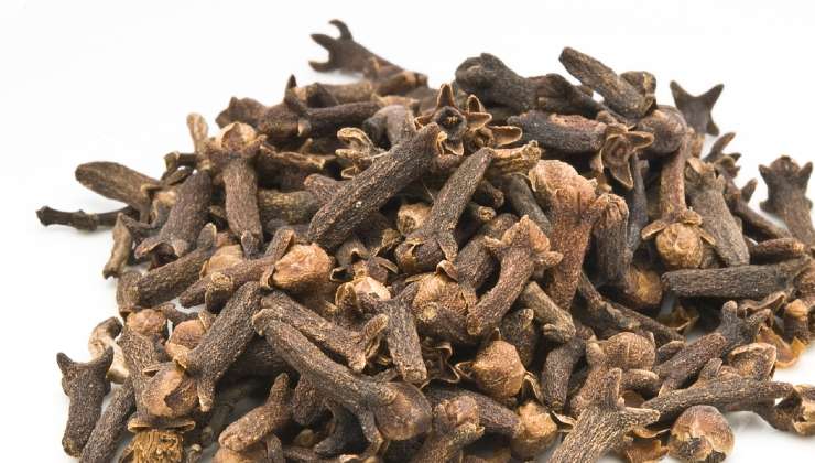 Chiodi di garofano