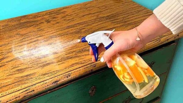 Motten auf Holzmöbeln, wie Sie sie sofort loswerden: Einfach sprühen