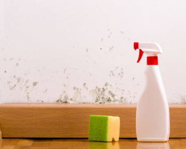 Narrensichere Tipps, wie Sie Feuchtigkeit loswerden – Wand, Boden, Decke und Bad