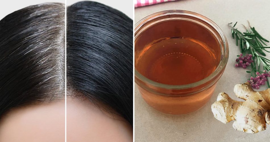 Natürliche Haartinktur mit Ingwer und Rosmarin, um das Haar nach der ersten Anwendung dunkler zu machen