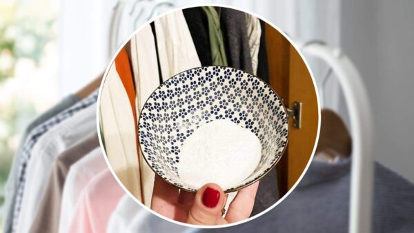 Natron im Schrank, die ganze Nacht dort lassen: Am nächsten Tag werden Sie Ihren Augen nicht trauen