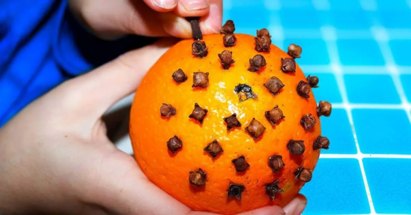 Nelken in eine Orange stecken: Das löst ein häufiges Problem im Haus