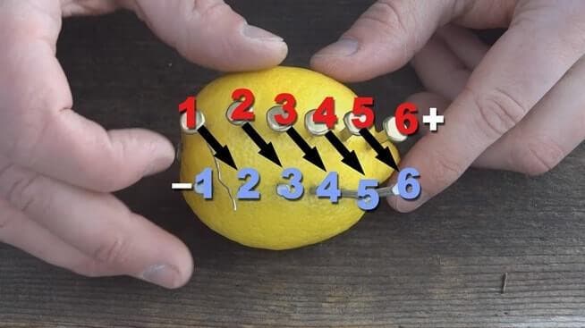 Nägel in eine Zitrone schlagen: Der Lieblingstrick meines Gärtners zum Pflanzensparen 4 Machen Sie eine Batterie mit einer Zitrone