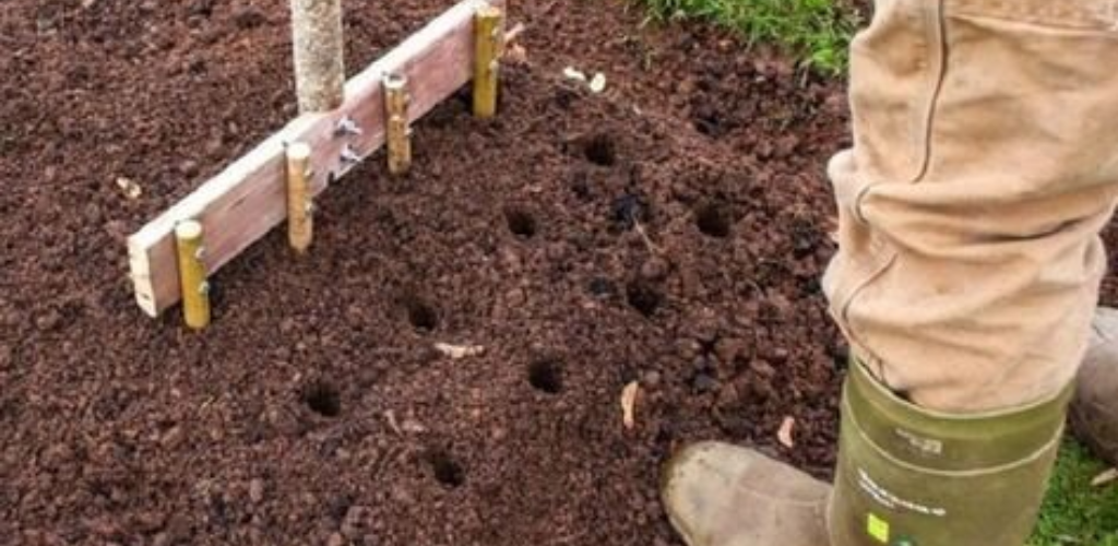 Nützliche Dinge für den Garten mit eigenen Händen. Hätten Sie an so etwas gedacht?