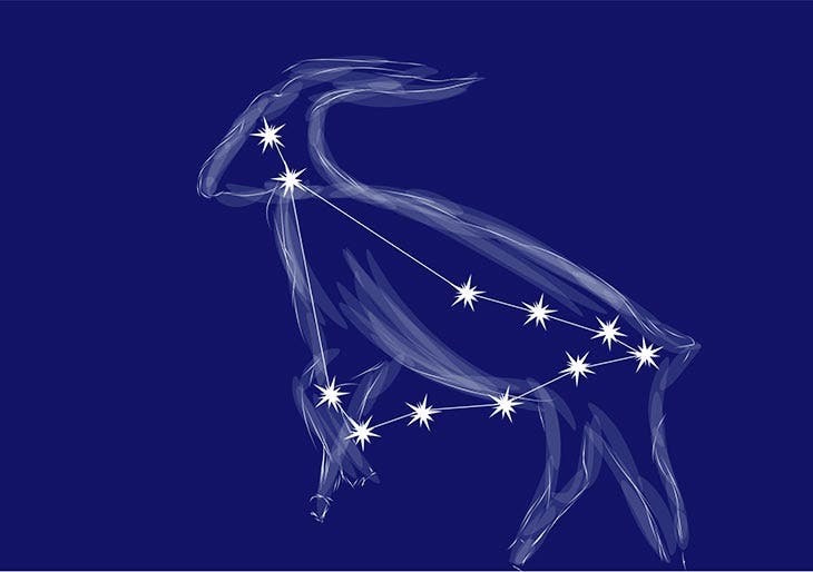 Steinbock-Ereignisse