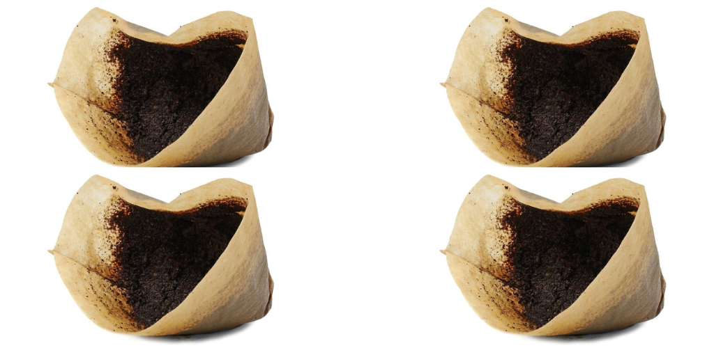 Nur ein Löffel und Ihre Blumen blühen wie nie zuvor, sowohl zu Hause als auch im Garten