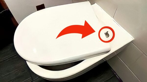 Nur sehr wenige Menschen kennen diese verborgene Funktion des Wassers: Vielleicht haben sie sie früher entdeckt