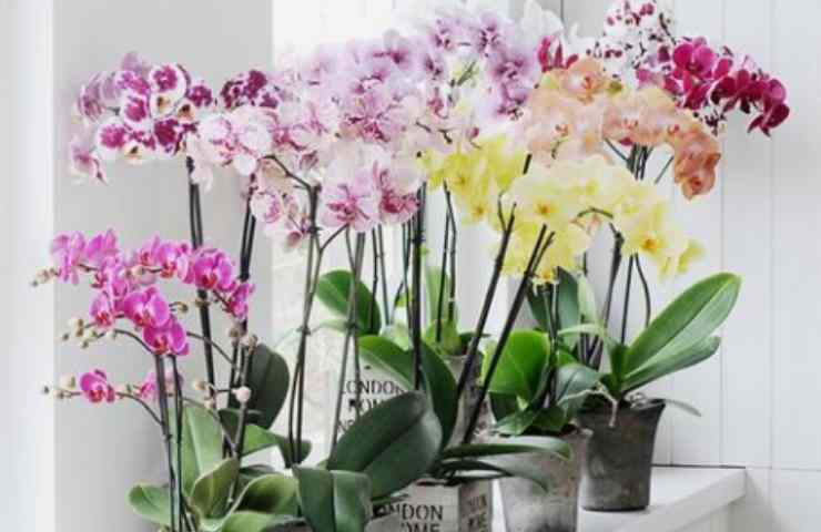 detrás de la ventana