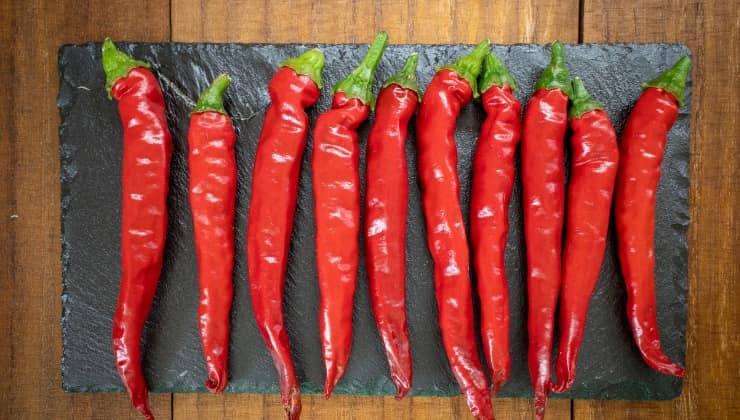 Rote Chilis