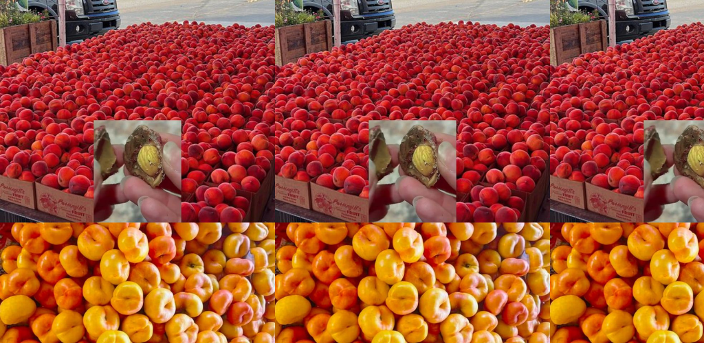 Pfirsiche aus Kernen anbauen: Eine einfache Anleitung