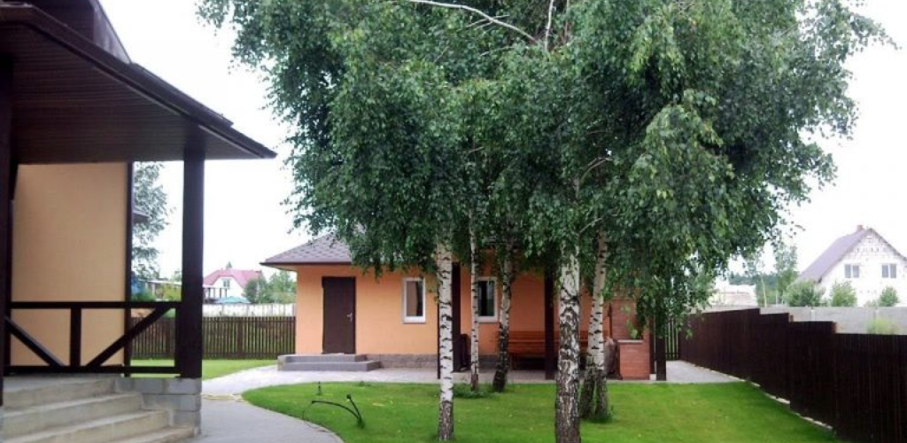 Pflanzen Sie diese Bäume in der Nähe Ihres Zuhauses: Sie ziehen Reichtum und Wohlstand an