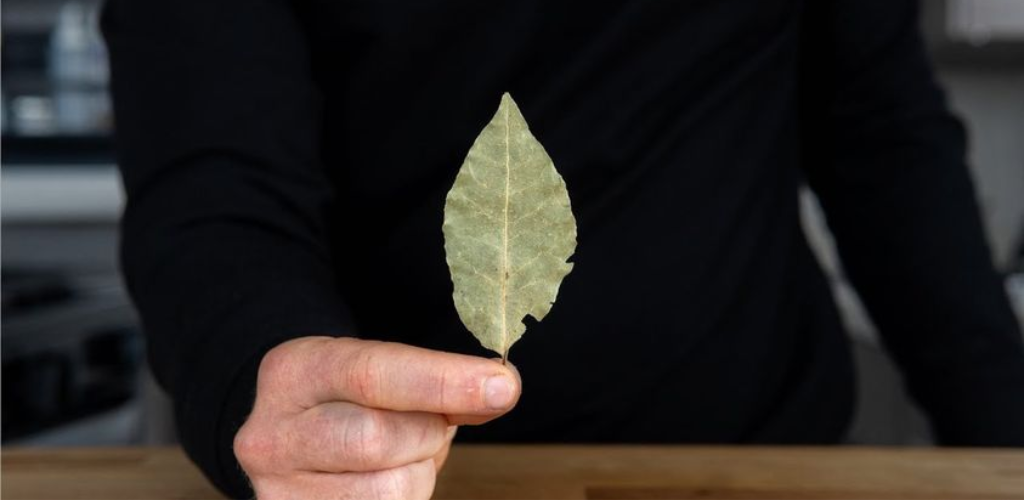 Platzieren Sie 3 Lorbeerblätter auf den Pflanzen, die Sie in Ihrem Garten oder Garten haben: Der Grund wird verraten