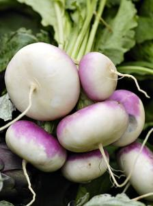 Rübenanbau: von der Aussaat bis zur Ernte