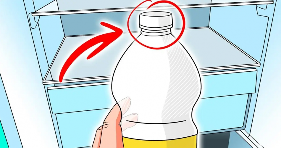 Reinigen Sie Ihren Kühlschrank und beseitigen Sie alle schlechten Gerüche: Sie benötigen nur eine Zutat