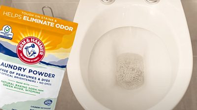 Reinigen Sie eine Toilette mit Waschmittel