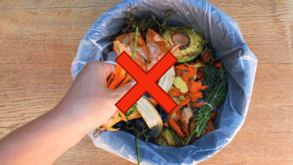 Reste aus der Küche, werfen Sie sie niemals weg: Geben Sie sie in eine Plastikflasche | Sie sind Gold wert