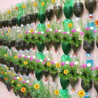 Richten Sie mit Plastikflaschen einen vertikalen Garten auf Ihrem Balkon ein!