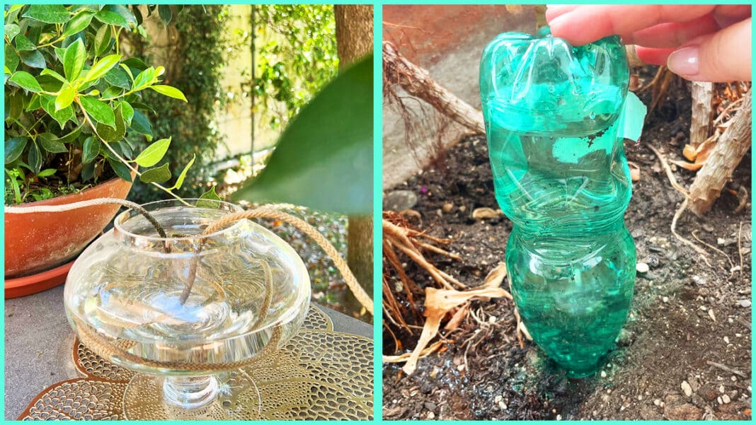 Wie man Pflanzen im Urlaub gießt Wie man Pflanzen im Urlaub gießt