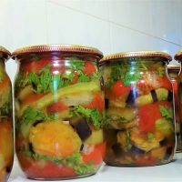 Salat mit Auberginen (ohne Essig). Eine Dose mit göttlichem Geschmack!