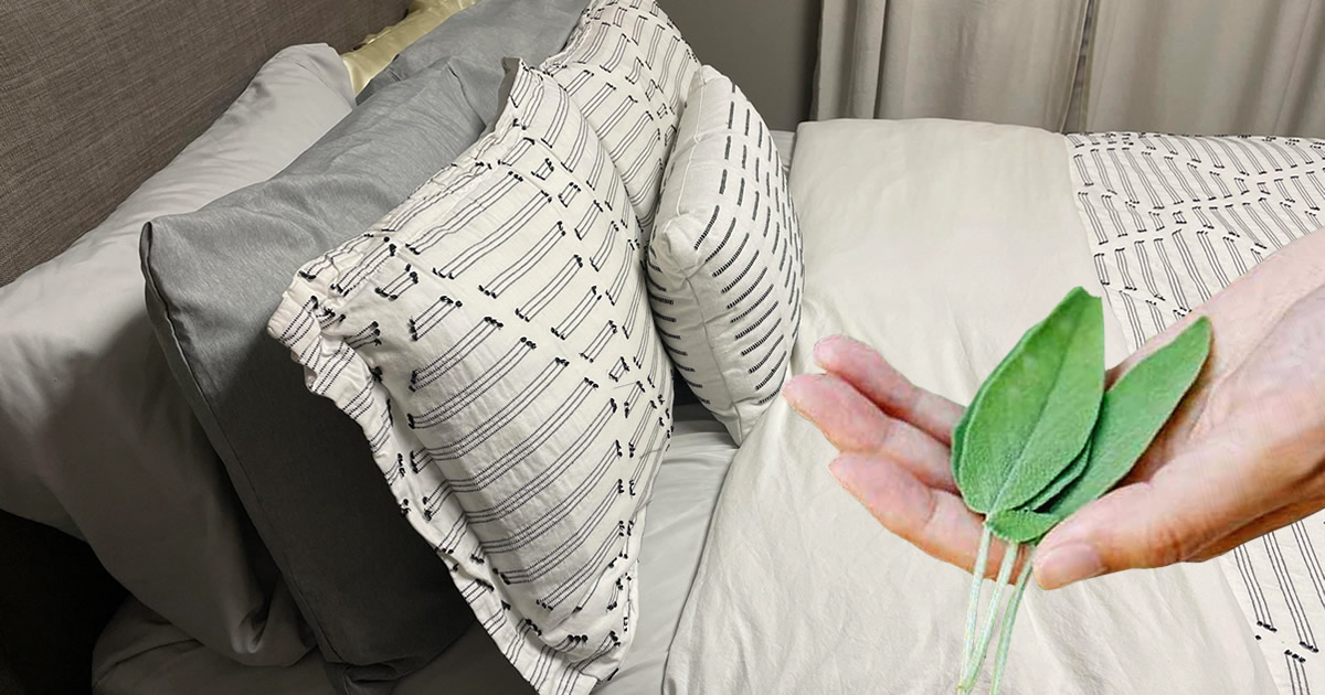 Salbei unter dem Kissen und 3 weitere alte Rituale, die es nicht verdienen, vergessen zu werden